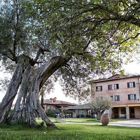 Locanda Poggioleone Castiglione del Lago Zewnętrze zdjęcie