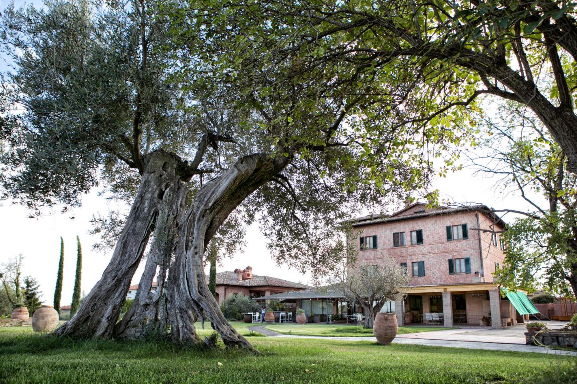 Locanda Poggioleone Castiglione del Lago Zewnętrze zdjęcie